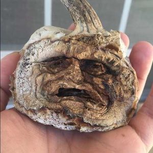 Meet your Posher, Luke